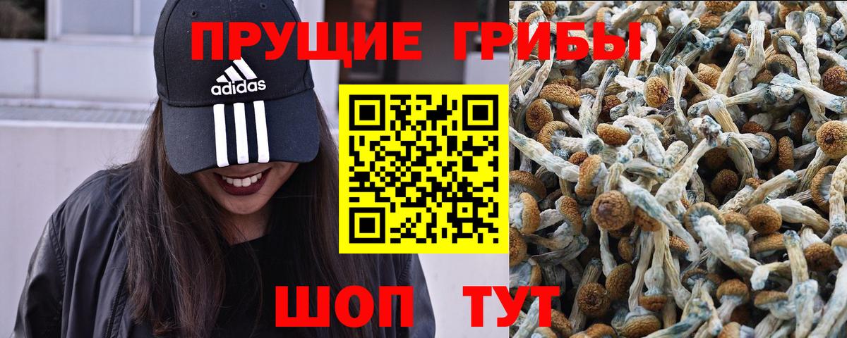 Галлюциногенные грибы MAGIC MUSHROOMS Россошь